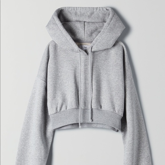 Aritzia Sweaters - Aritzia TNA Super Crop Hoodie in Athletic Grey